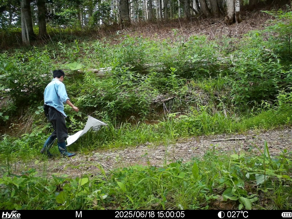道央域でマダニとダニ媒介性病原体の分布を「大まかに」推定 | 人獣