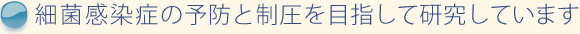 細菌感染症の予防と制圧を目指して研究しています