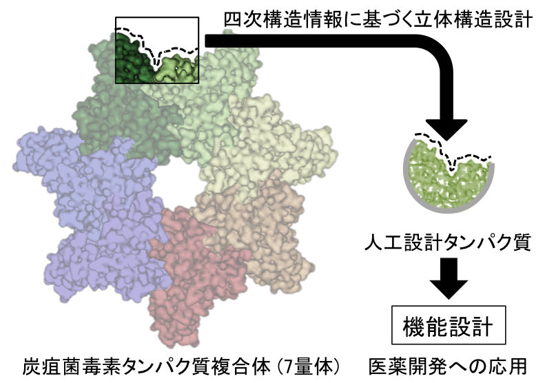 研究の概念図です