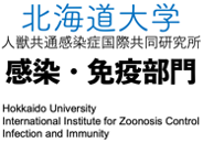 北海道大学 人獣共通感染症リサーチセンター 感染・免疫部門