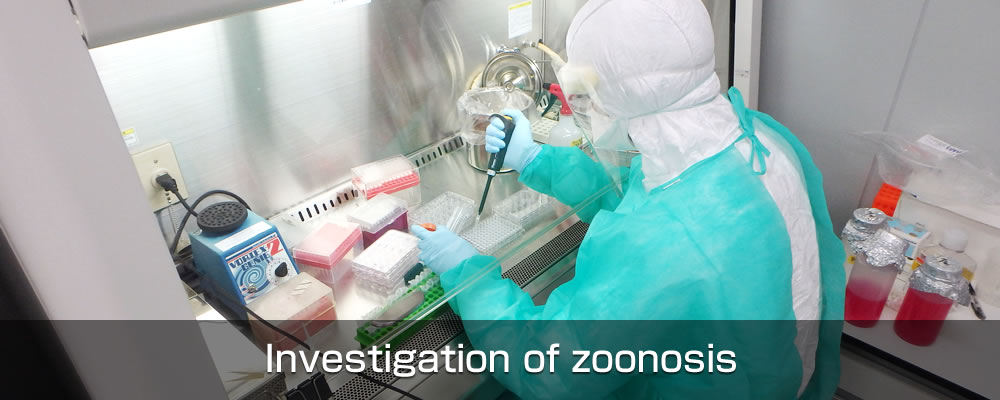 Investigation of zoonosis