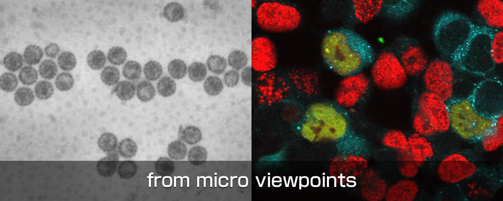 from micro viewpoints