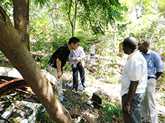 Surveillance of Mosquito-Borne Viruses