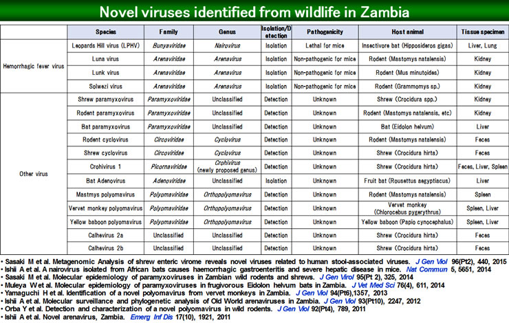Figure 1. The List of Newly Isolated/Detected Viruses from Wild Animals in Zambia