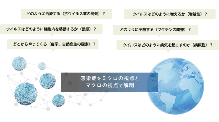 感染症をミクロの視点とマクロの視点で解明