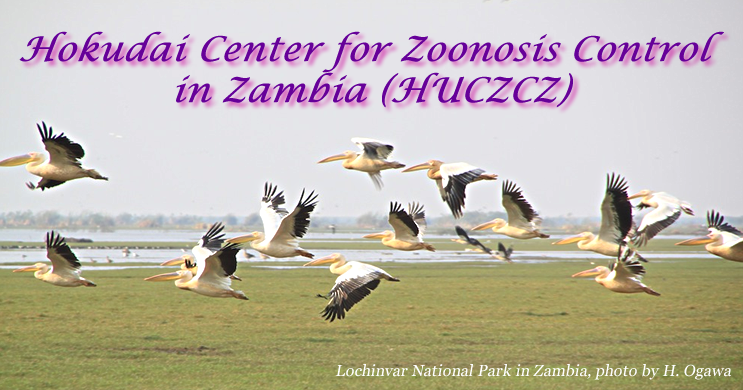 Hokudai Center for Zoonosis Control in Zambia